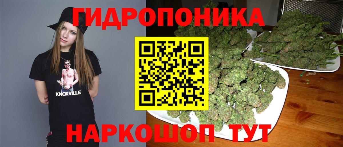 Канабис планчик Канск